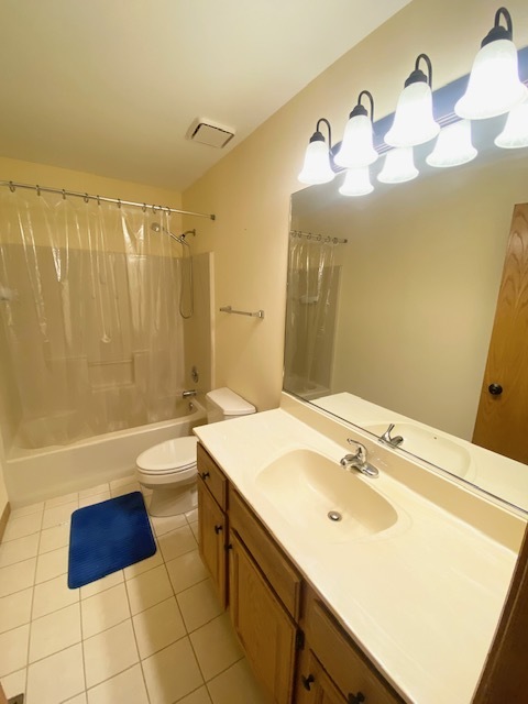 1702 Elm Street Spring Grove, IL 60081 - Photo 15 of 30 a bathroom with a sink and a mirror