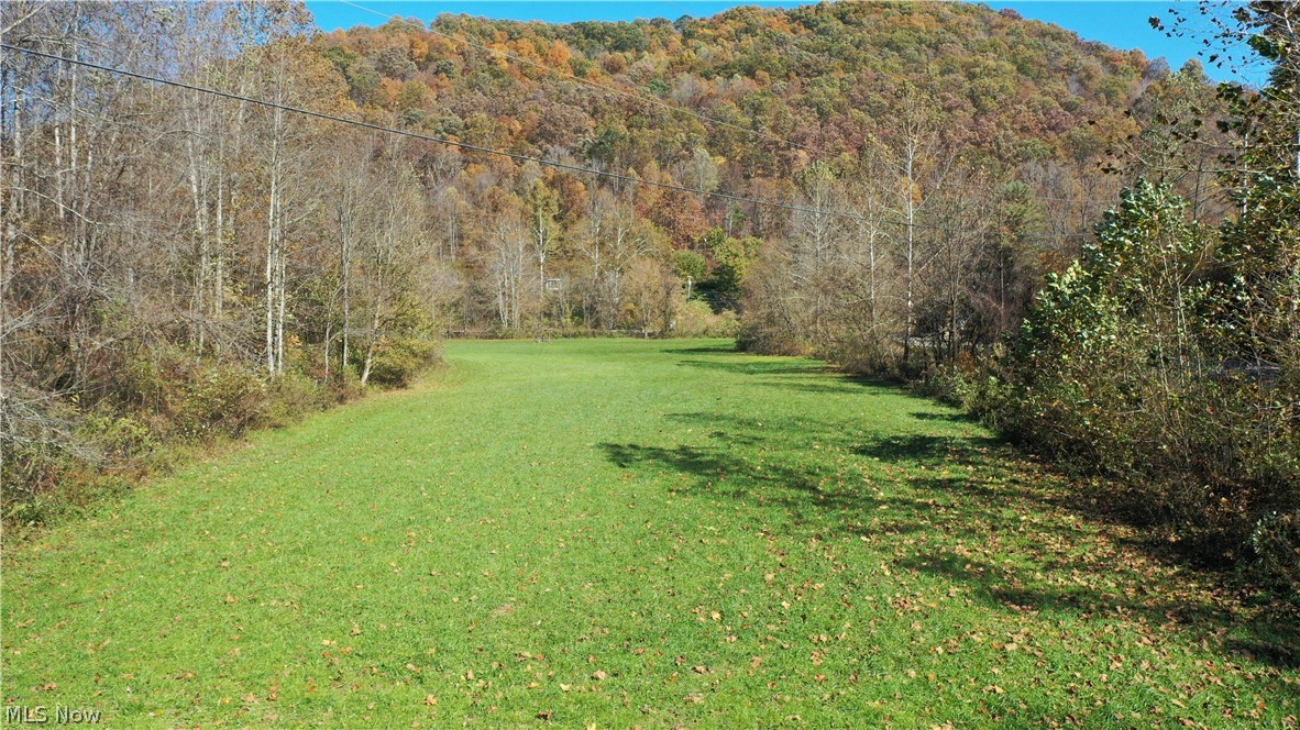 168 Stinson Road Chloe, WV 25235 - Photo 3 of 17