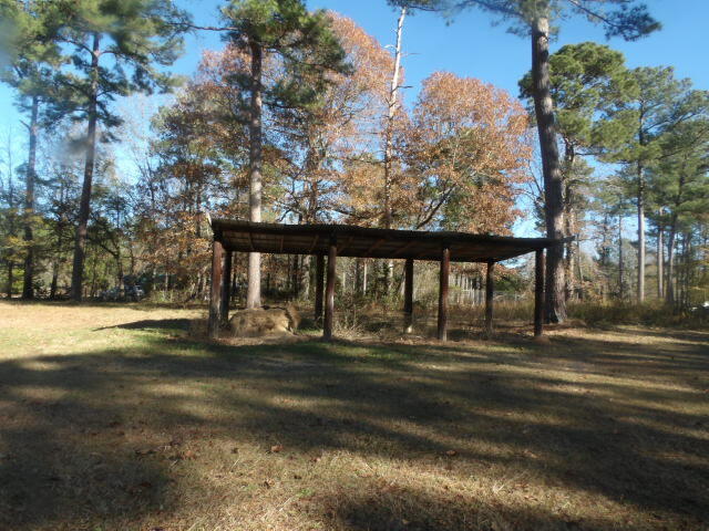 7615 Raccoon Road Manning, SC 29102 - Photo 27 of 28 Gallery Image 27