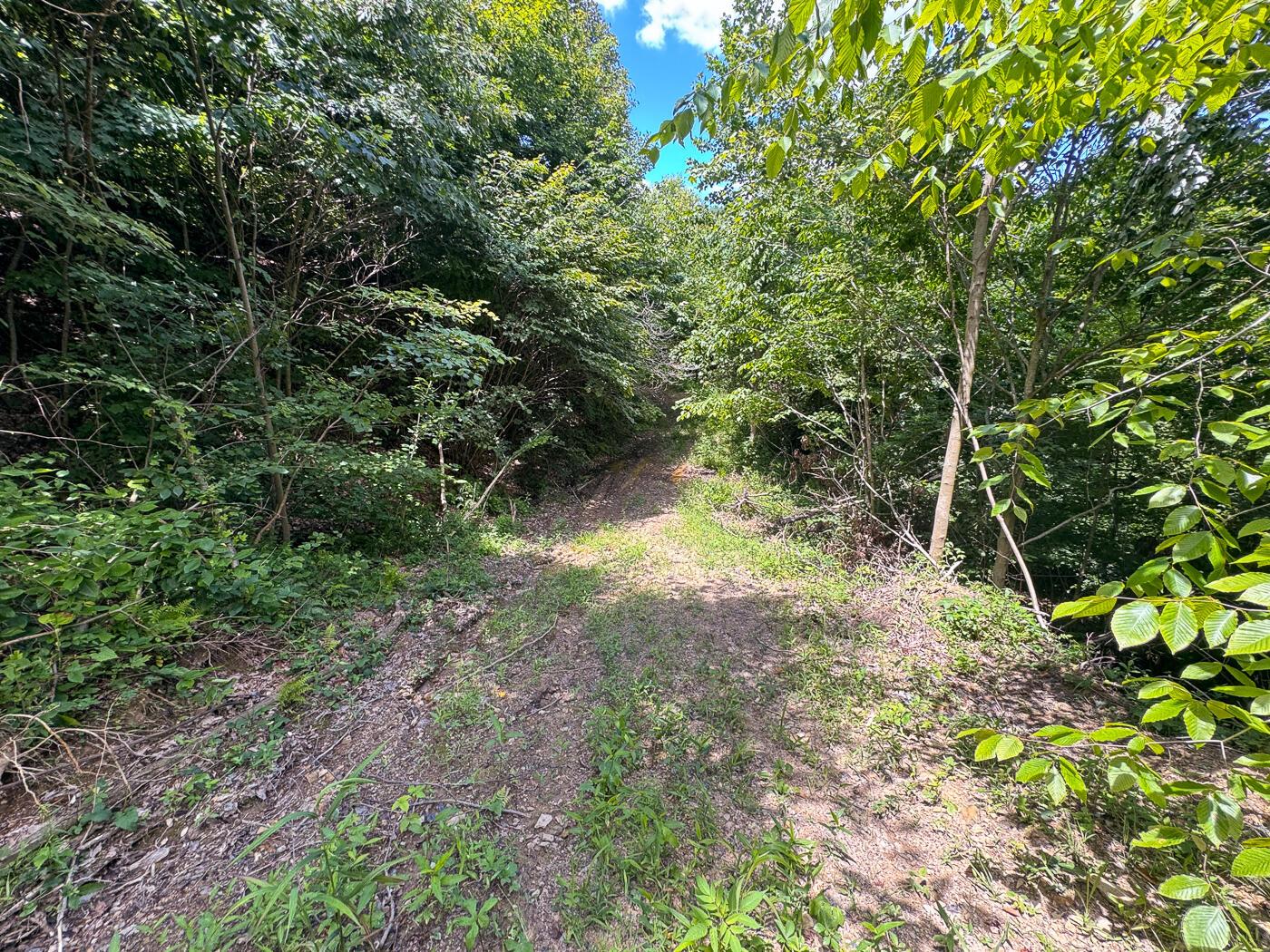 4313 Flint Ridge Road Northeast, Unit INT RIDGE TRACT 18 ACRE) Crooksville, OH 43731 - Photo 16 of 53 CT-16