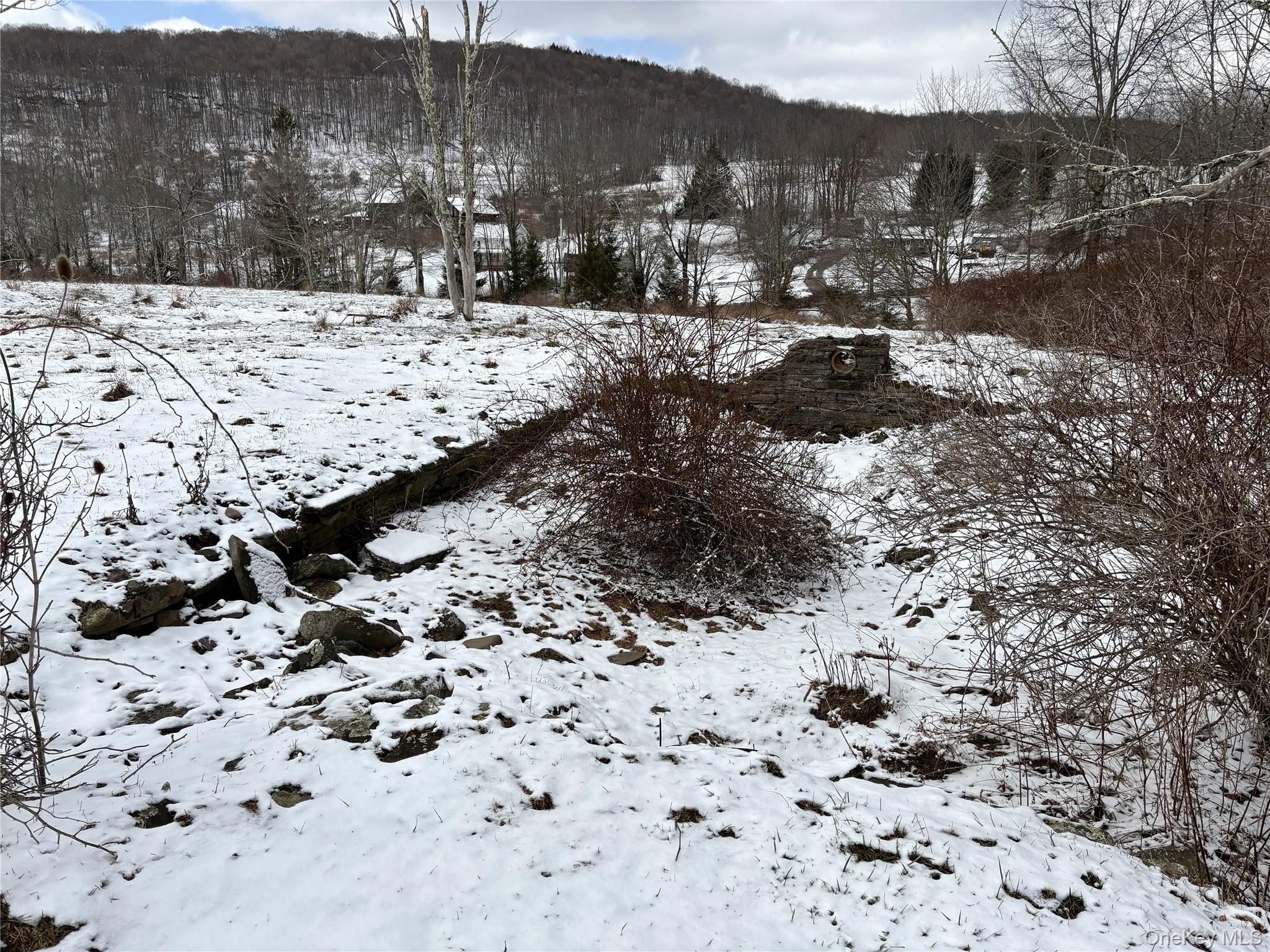 14 Frelich Rd/t R 28 Fremont Center, NY 12736 - Photo 41 of 47