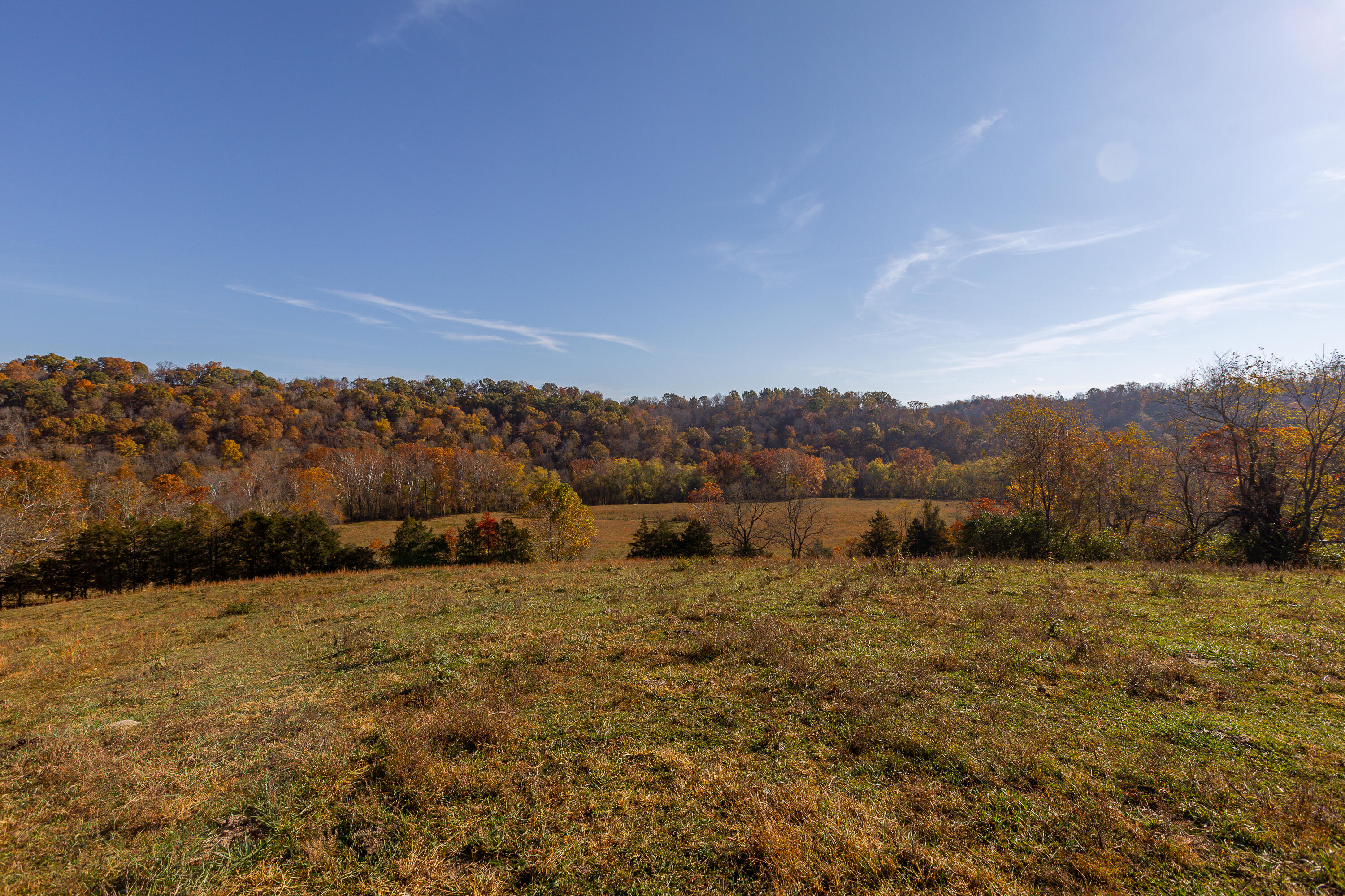 3480 Milltown Road Moorefield, KY 40350 - Photo 17 of 38 3480 Milltown