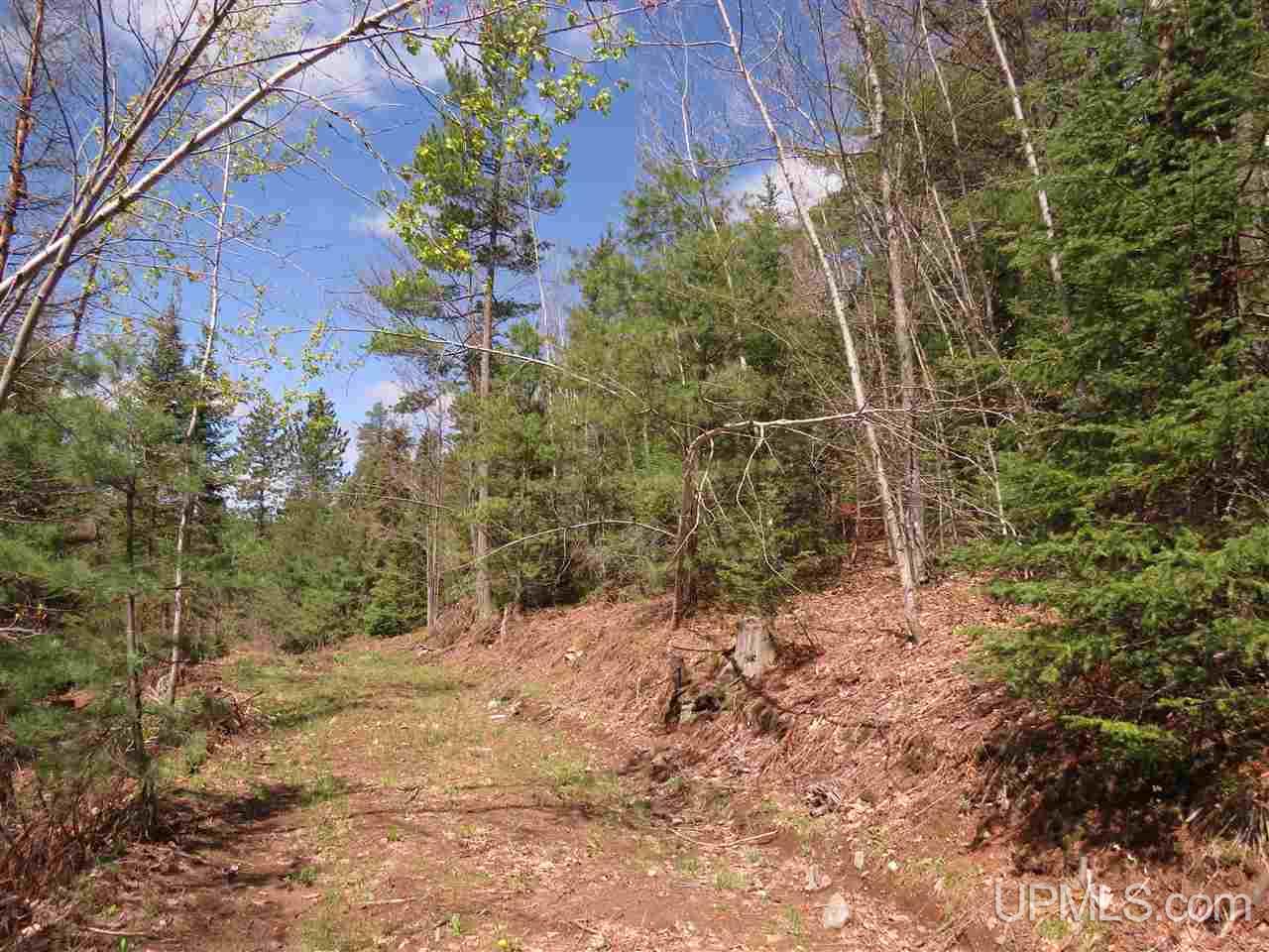 Tbd Tbd Off The Boise Route Road Negaunee, MI 49866 - Photo 5 of 45