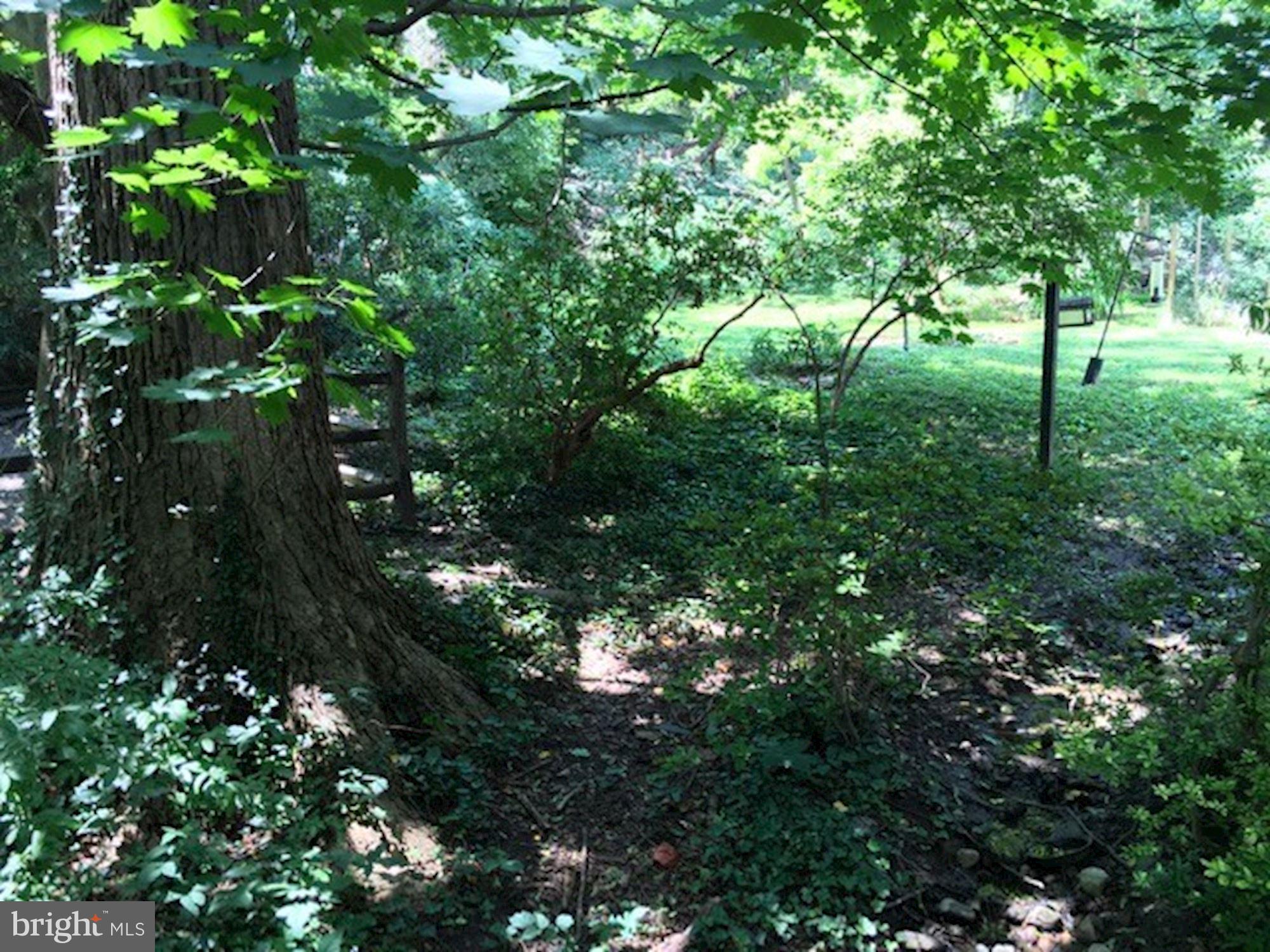 3550 Springland Lane Northwest Washington, DC 20008 - Photo 13 of 18 Exterior - Rear Garden
