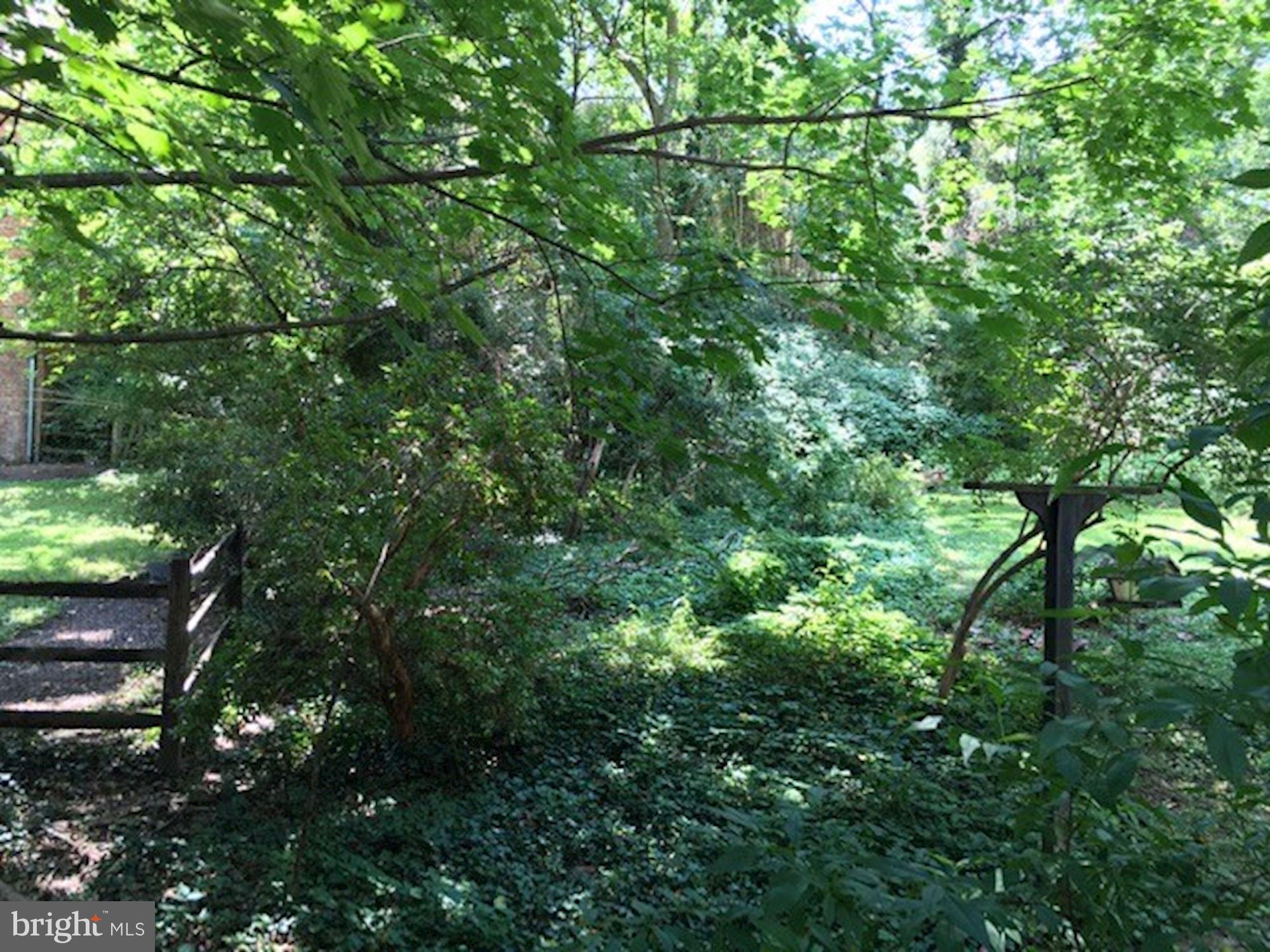 3550 Springland Lane Northwest Washington, DC 20008 - Photo 15 of 18 Exterior - Rear Garden