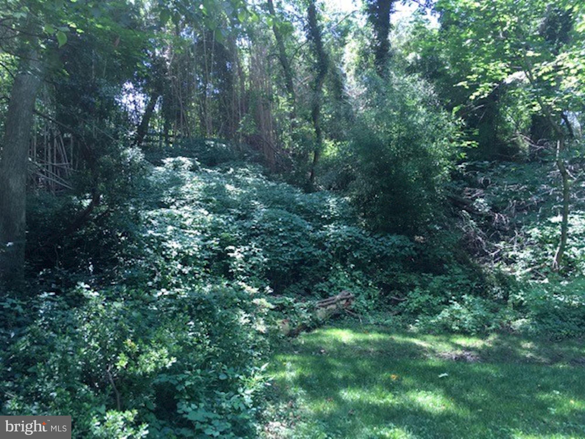 3550 Springland Lane Northwest Washington, DC 20008 - Photo 16 of 18 Exterior - Rear Garden