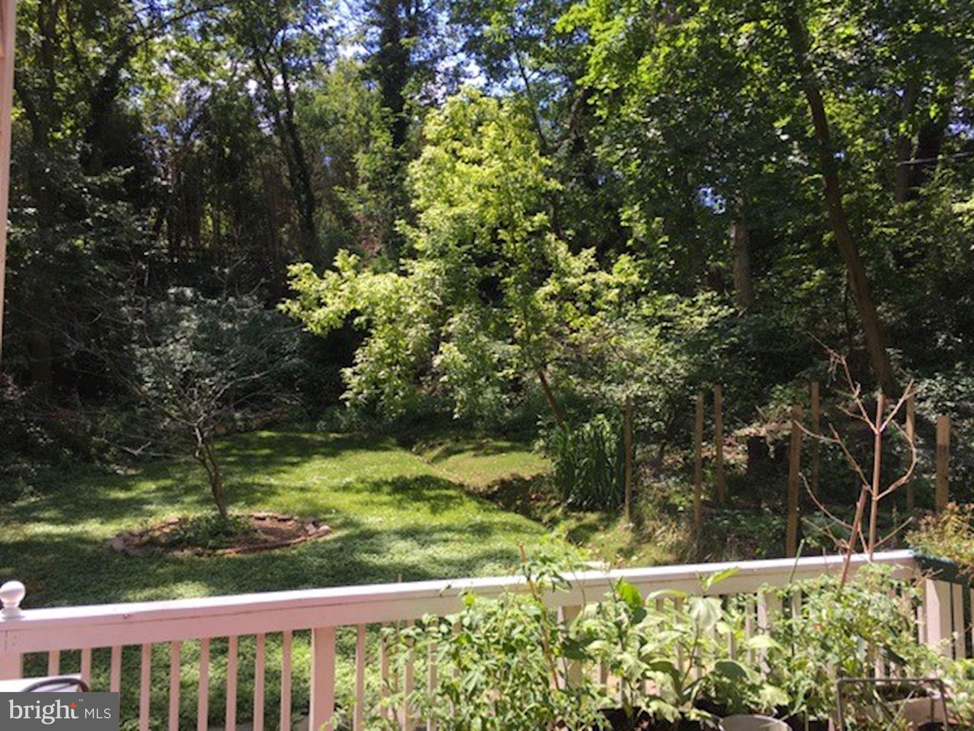3550 Springland Lane Northwest Washington, DC 20008 - Photo 9 of 18 Exterior - Rear Garden