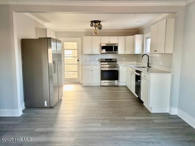 4708 Levi Sutton Lane Kinston, NC 28504 - Photo 10 of 31 Kitchen