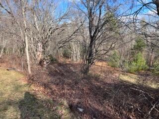 692 Wiscasset Road Whitefield, ME 04353 - Photo 8 of 46 IMG_3732