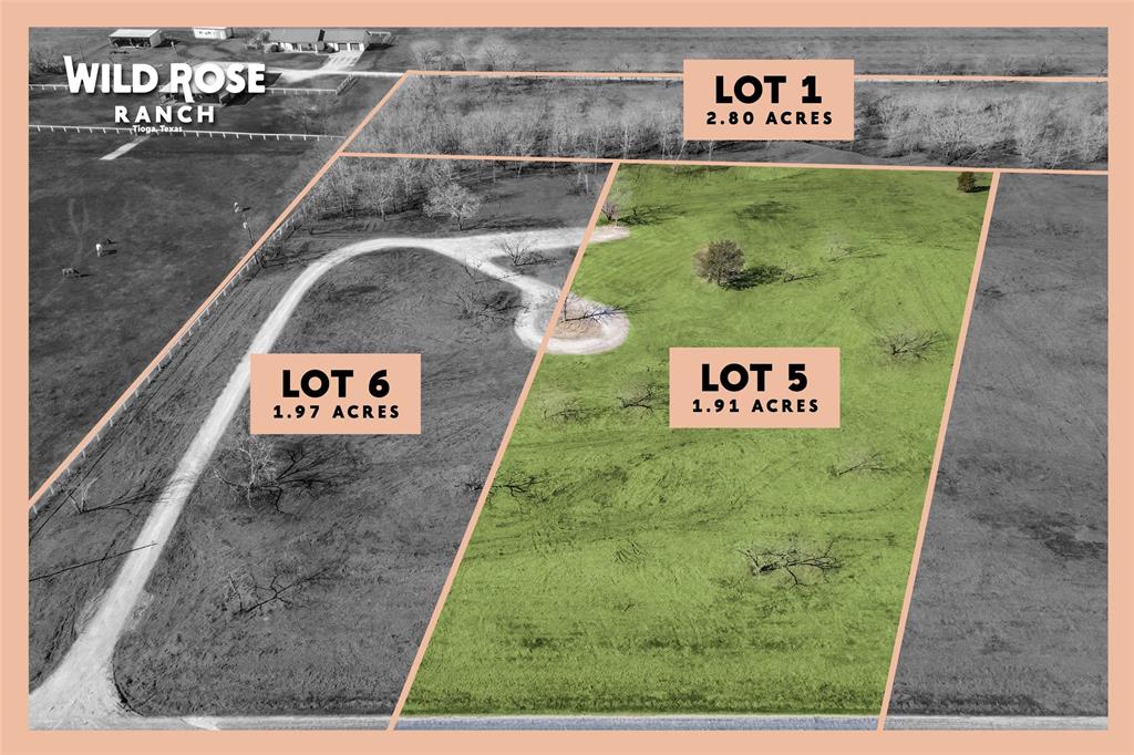 Lot 1-2.80 Lot 1-2.80 Acres Airport Road Tioga, TX 76271 - Photo 11 of 28