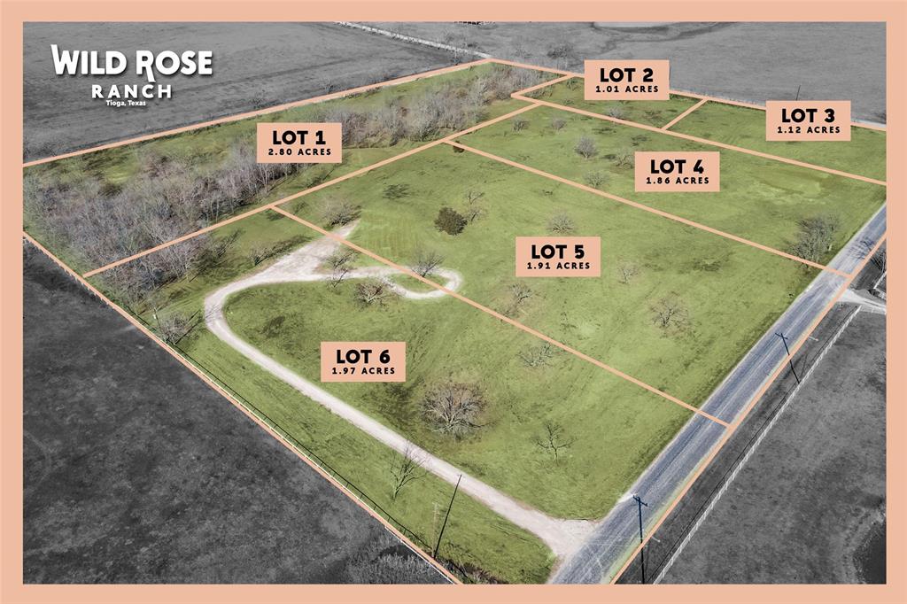 Lot 1-2.80 Lot 1-2.80 Acres Airport Road Tioga, TX 76271 - Photo 19 of 28