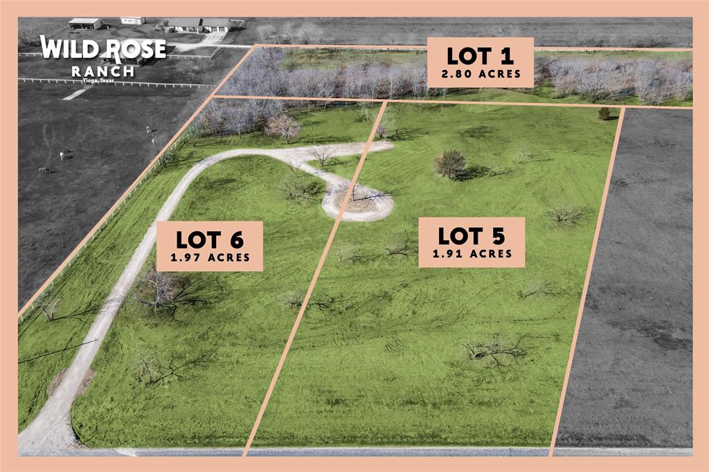 Lot 1-2.80 Lot 1-2.80 Acres Airport Road Tioga, TX 76271 - Photo 9 of 28