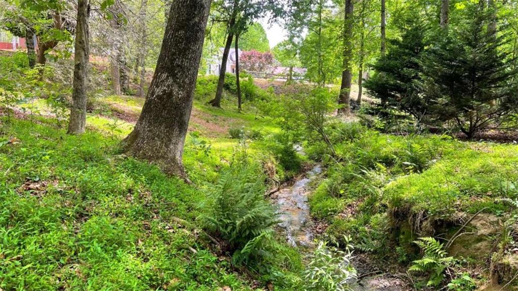 5755 Cedar Ridge Trail Cumming, GA 30028 - Photo 3 of 66