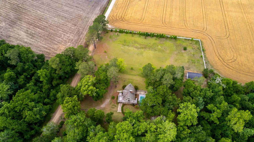 3815 Britton Road Sumter, SC 29153 - Photo 10 of 69