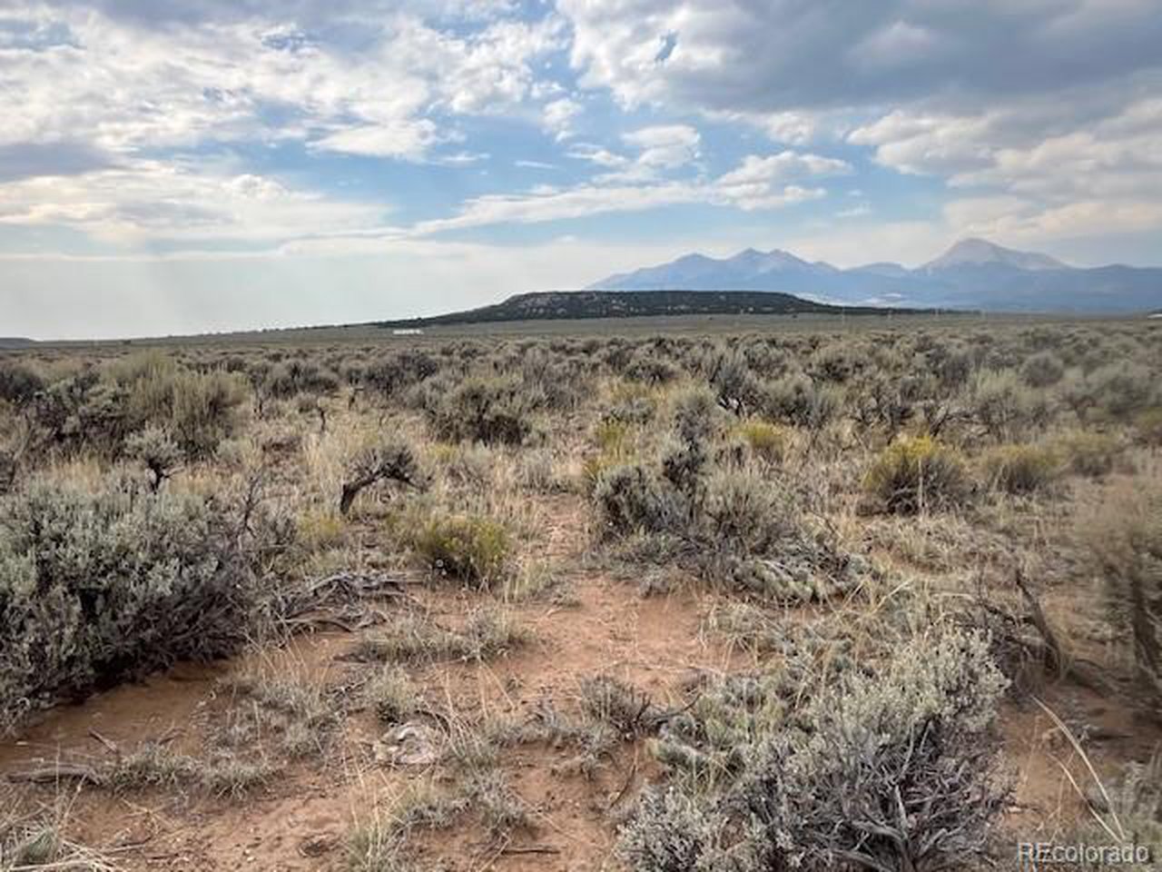 3034 Saudir Road Fort Garland, CO 81133 - Photo 4 of 12 a view of a dry yard with lots of trees