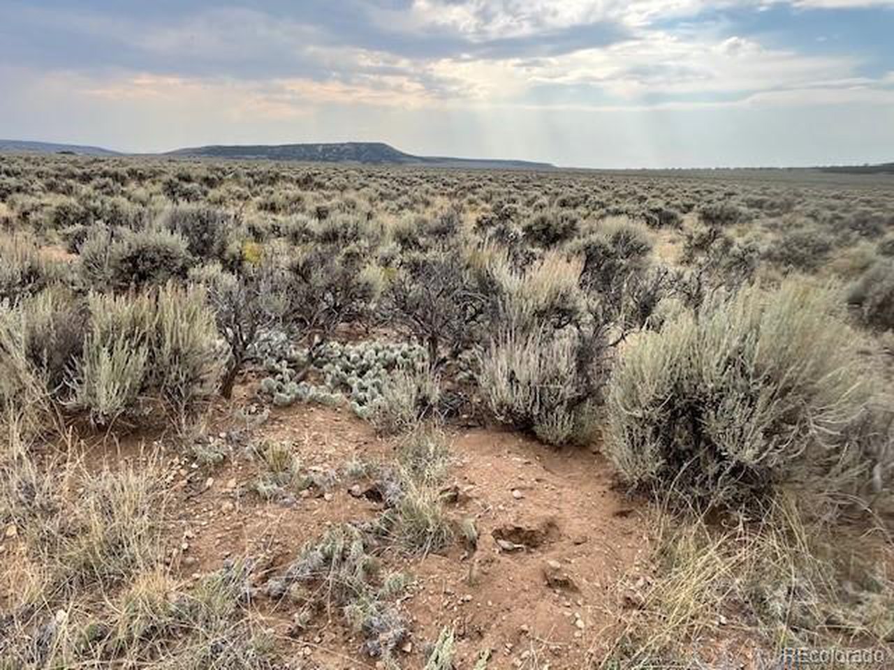 3034 Saudir Road Fort Garland, CO 81133 - Photo 5 of 12 a view of a yard