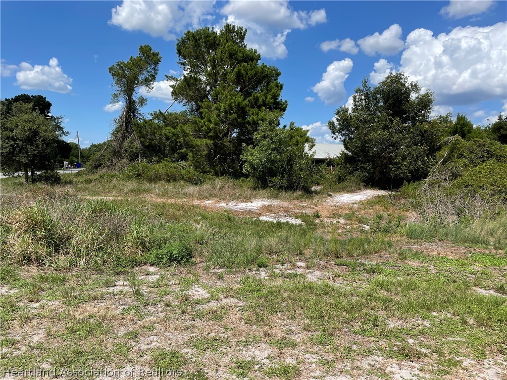 273 Loquat Road Northwest Lake Placid, FL 33852 - Photo 1 of 3 Gallery Image 1