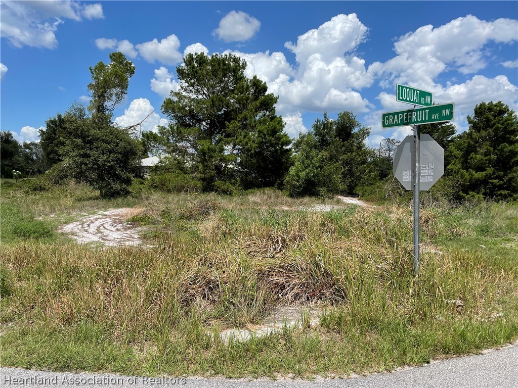273 Loquat Road Northwest Lake Placid, FL 33852 - Photo 2 of 3 Gallery Image 2