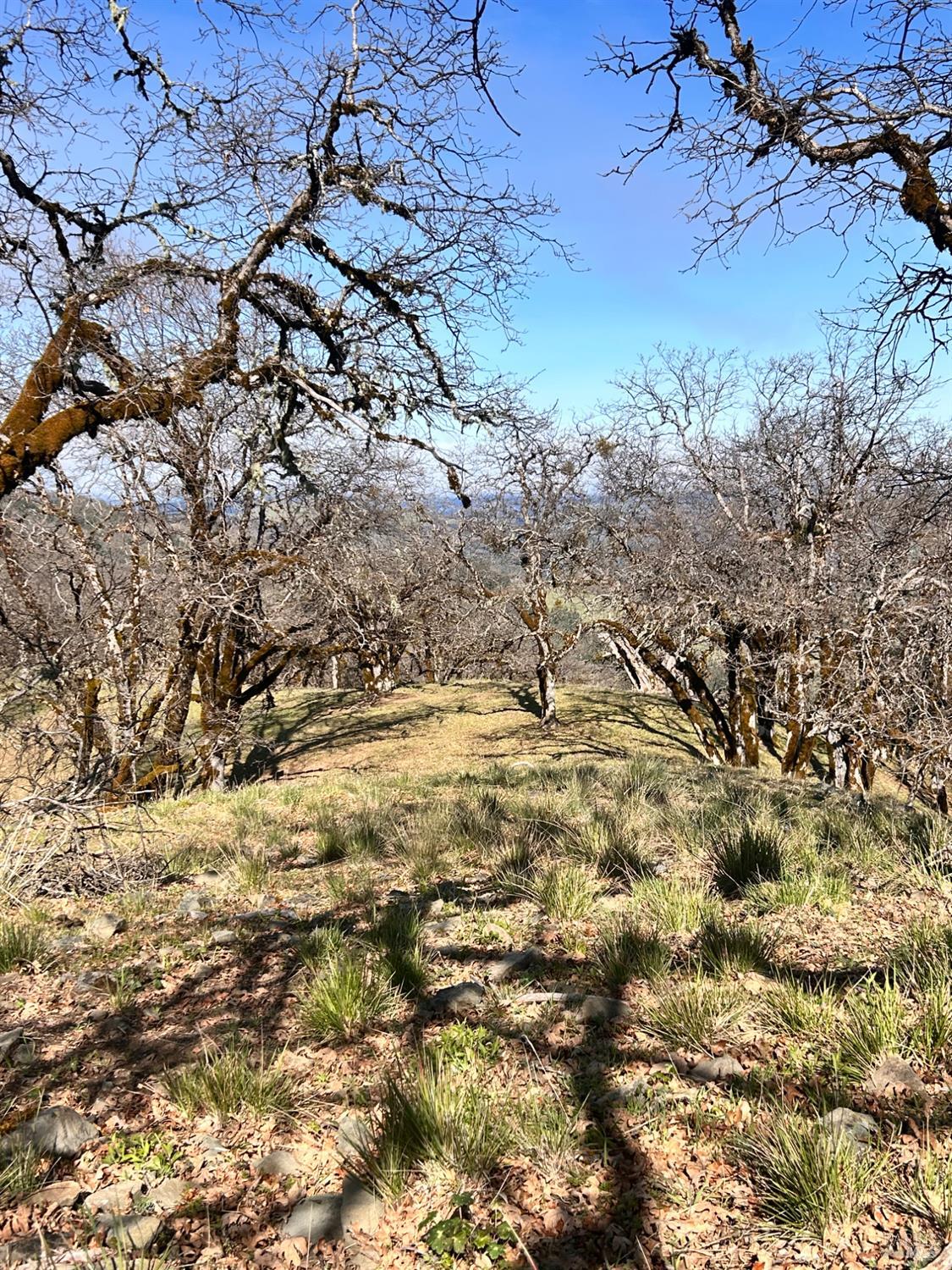 74000 Island Mountain Road Garberville, CA 95542 - Photo 20 of 36