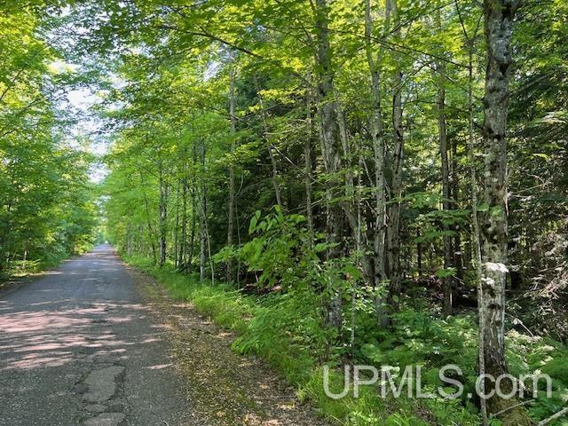 11.6 Acres Off Remington Road Marquette, MI 49855 - Photo 15 of 39