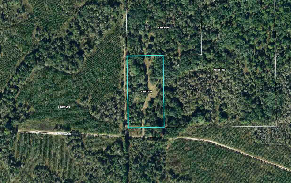 4270 Dip Down Road Perry, FL 32348 - Photo 1 of 12 Gallery Image 1