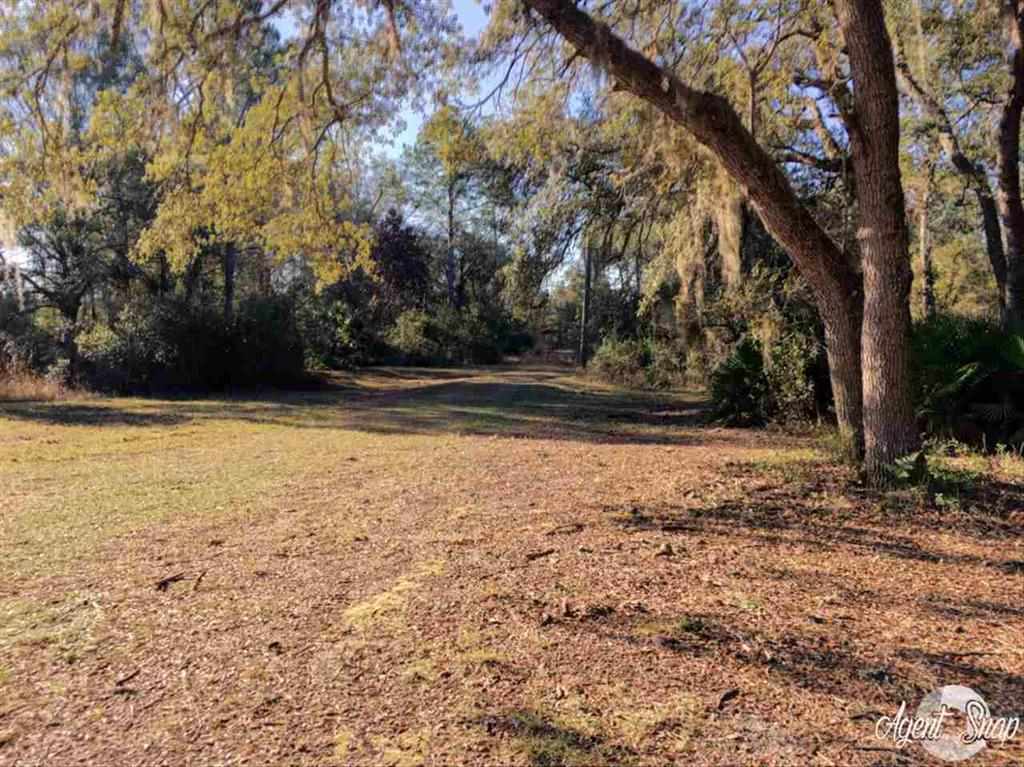 4270 Dip Down Road Perry, FL 32348 - Photo 11 of 12 Gallery Image 11