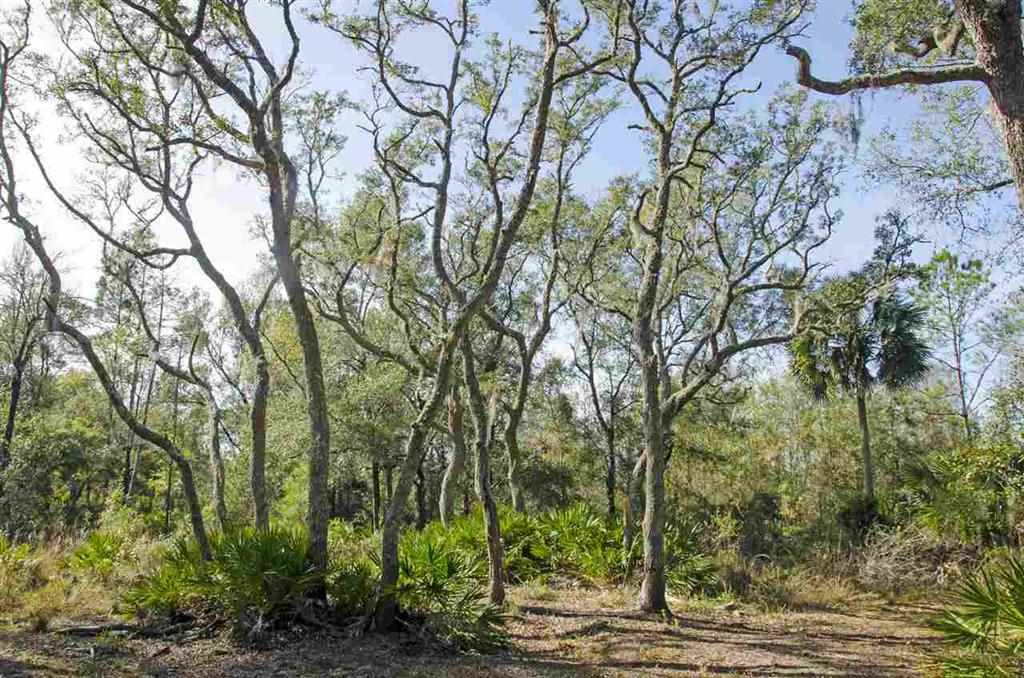 4270 Dip Down Road Perry, FL 32348 - Photo 3 of 12 Gallery Image 3