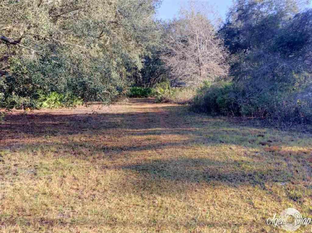 4270 Dip Down Road Perry, FL 32348 - Photo 6 of 12 Gallery Image 6