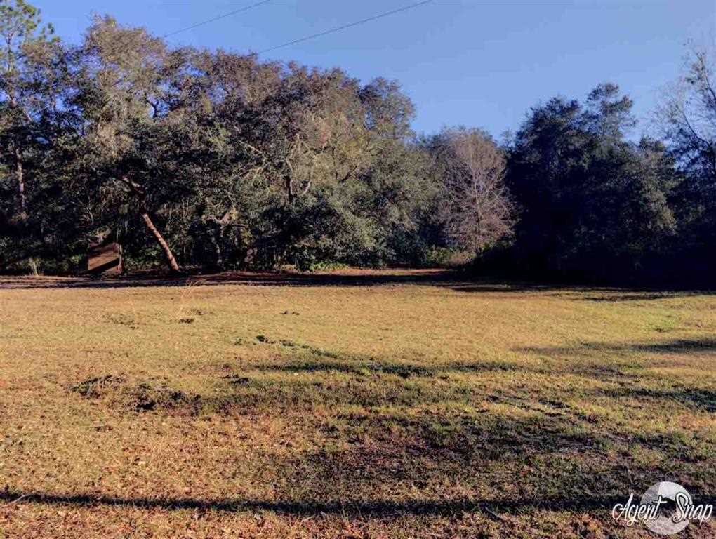 4270 Dip Down Road Perry, FL 32348 - Photo 8 of 12 Gallery Image 8