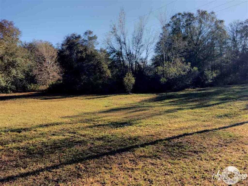 4270 Dip Down Road Perry, FL 32348 - Photo 9 of 12 Gallery Image 9