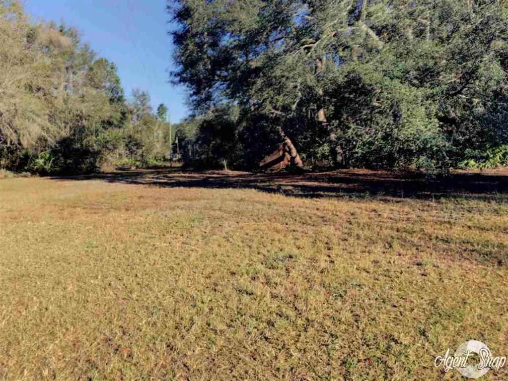 4270 Dip Down Road Perry, FL 32348 - Photo 10 of 12 Gallery Image 10