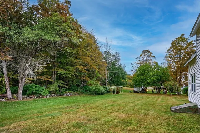 a view of a trees in a yard