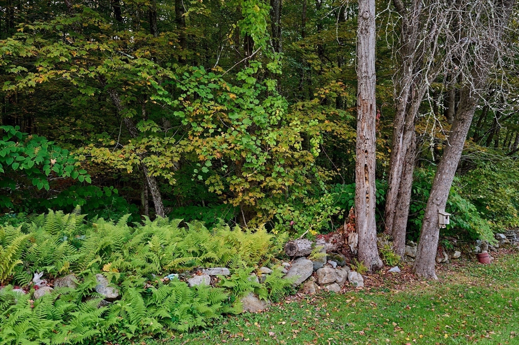 102 Elm Street Buckland, MA 01370 - Photo 25 of 35 a view of a garden with a tree