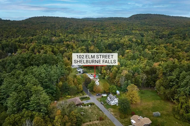 a view of a sign that is sitting in the middle of a forest