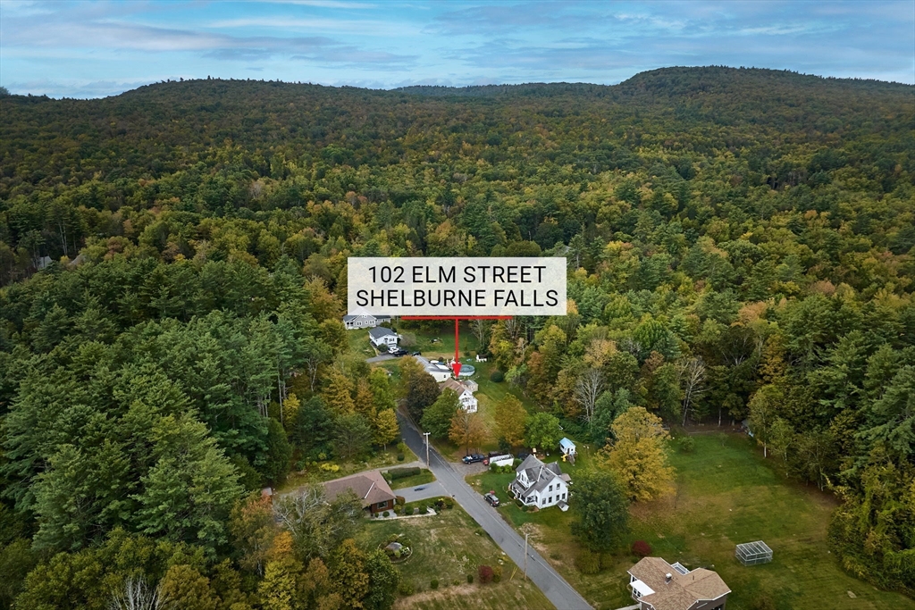 102 Elm Street Buckland, MA 01370 - Photo 5 of 35 a view of a sign that is sitting in the middle of a forest