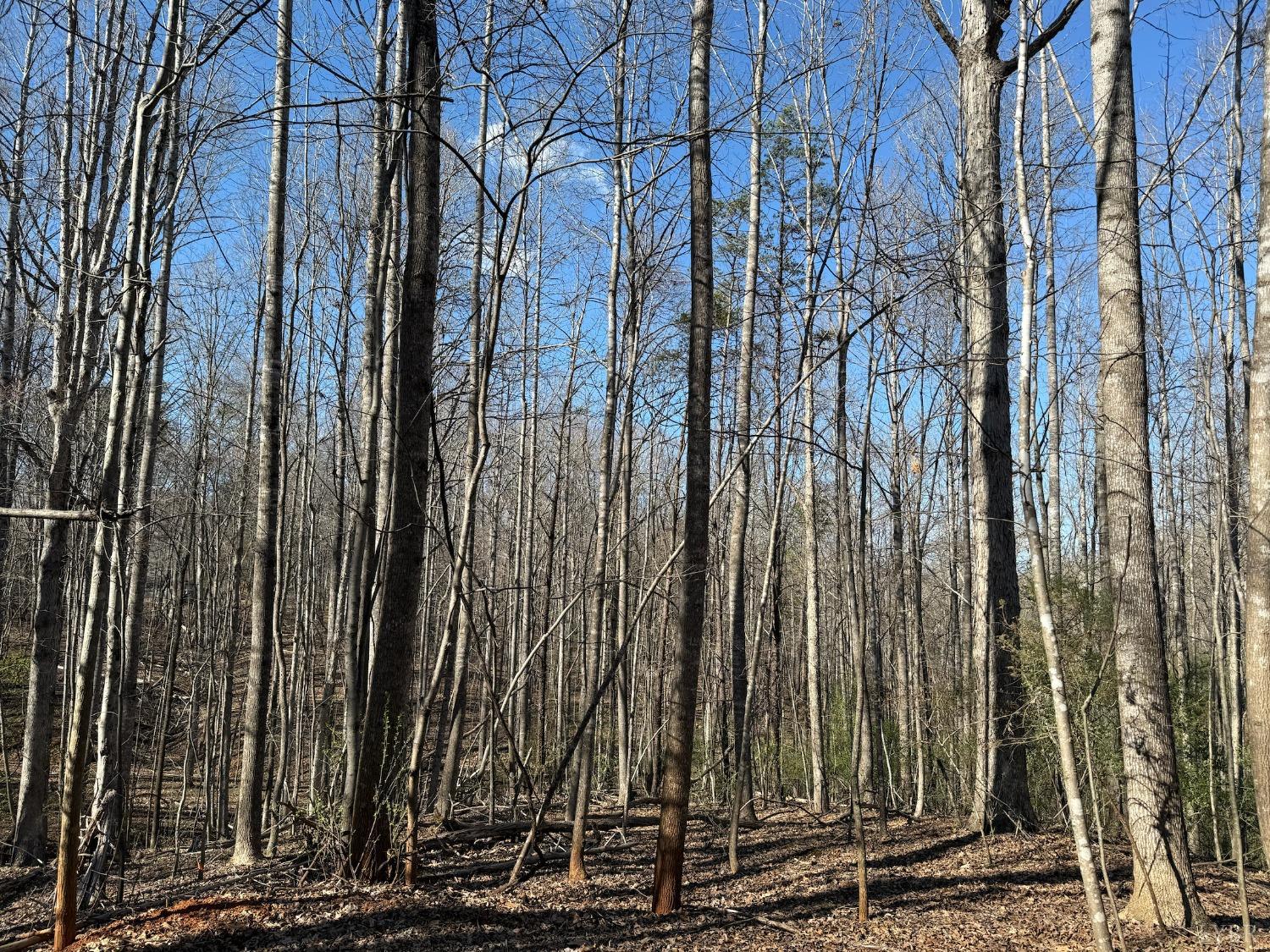 0 Hooper Road Forest, VA 24551 - Photo 1 of 7