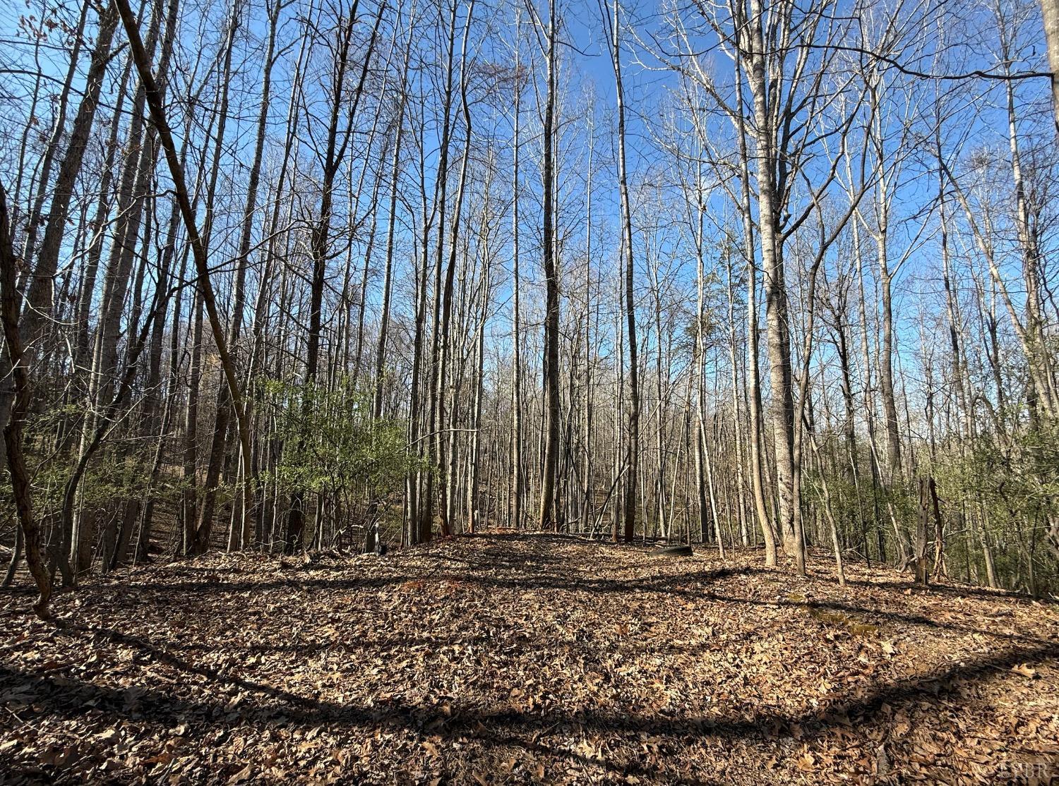 0 Hooper Road Forest, VA 24551 - Photo 2 of 7