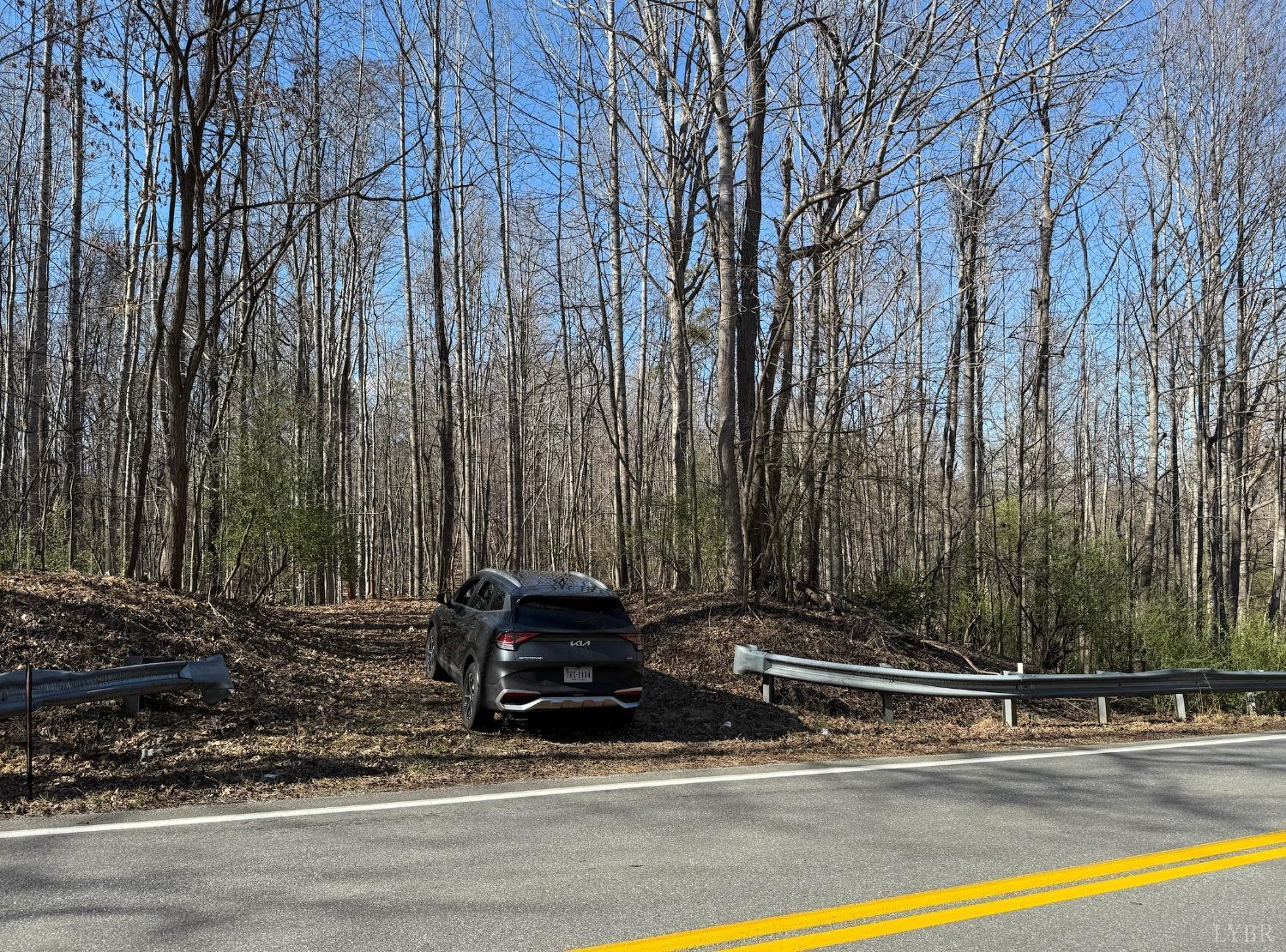 0 Hooper Road Forest, VA 24551 - Photo 3 of 7