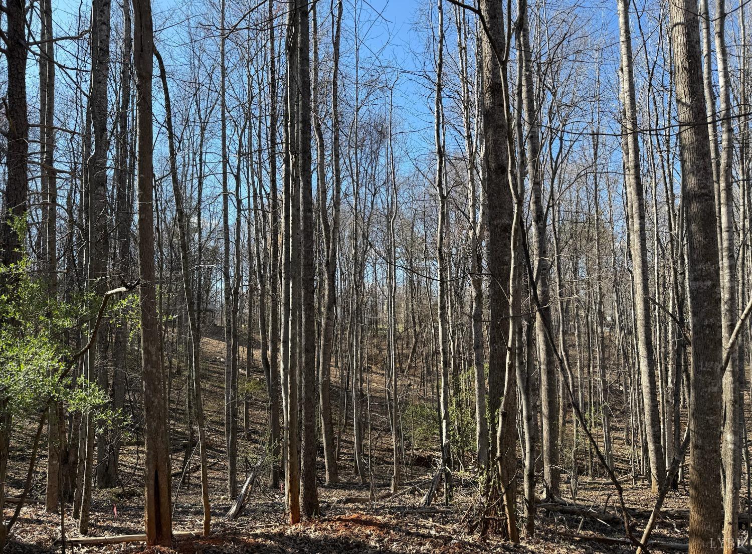 0 Hooper Road Forest, VA 24551 - Photo 5 of 7