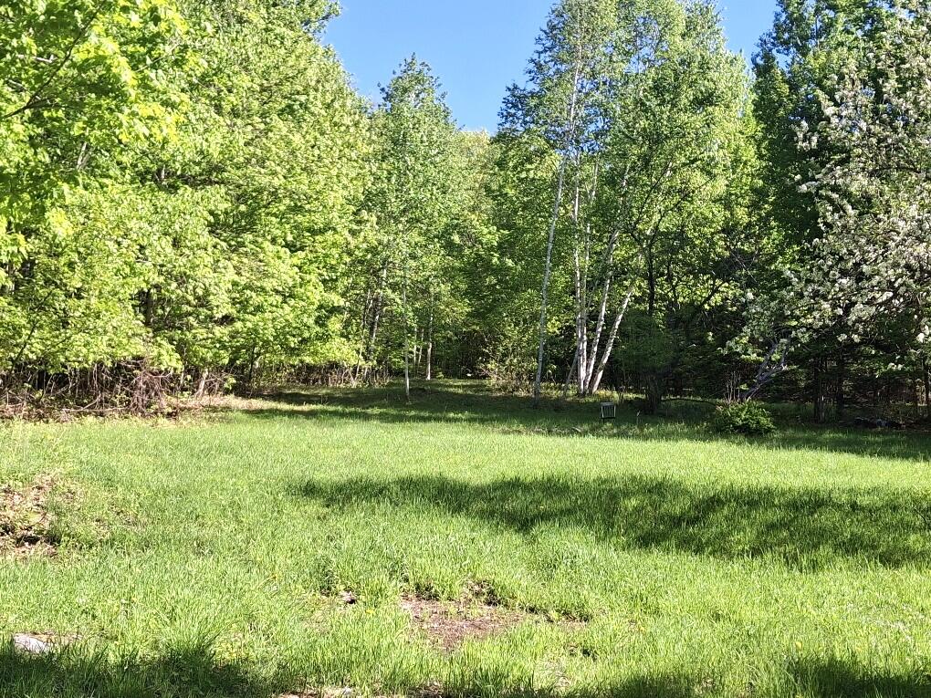 141 Tufts Pond Road Kingfield, ME 04947 - Photo 5 of 45 20260526_083921_resized