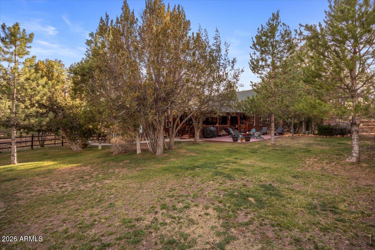 2952 Country View Lane Overgaard, AZ 85933 - Photo 57 of 81 56-IMG_6380