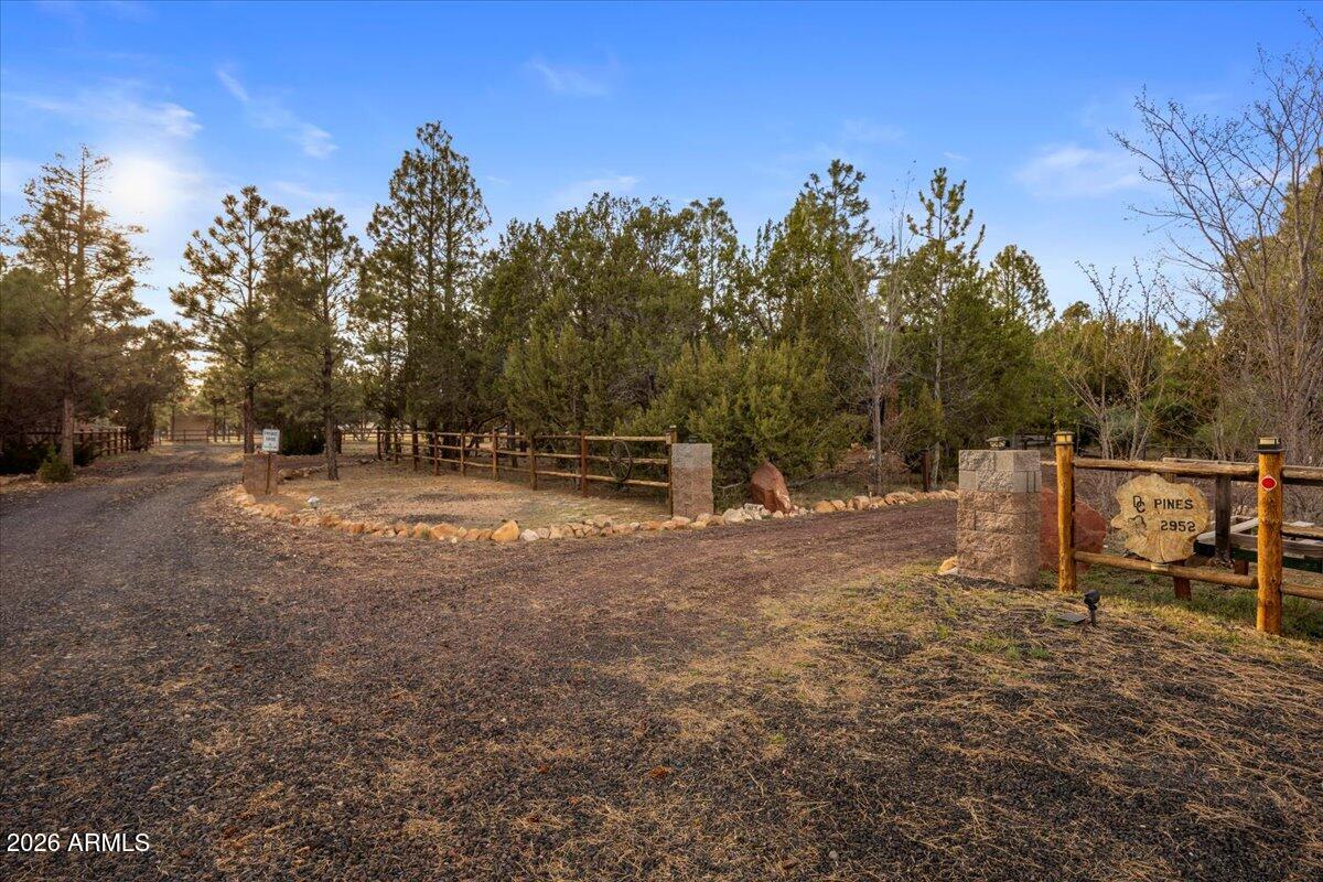 2952 Country View Lane Overgaard, AZ 85933 - Photo 58 of 81 a view of outdoor space with trees