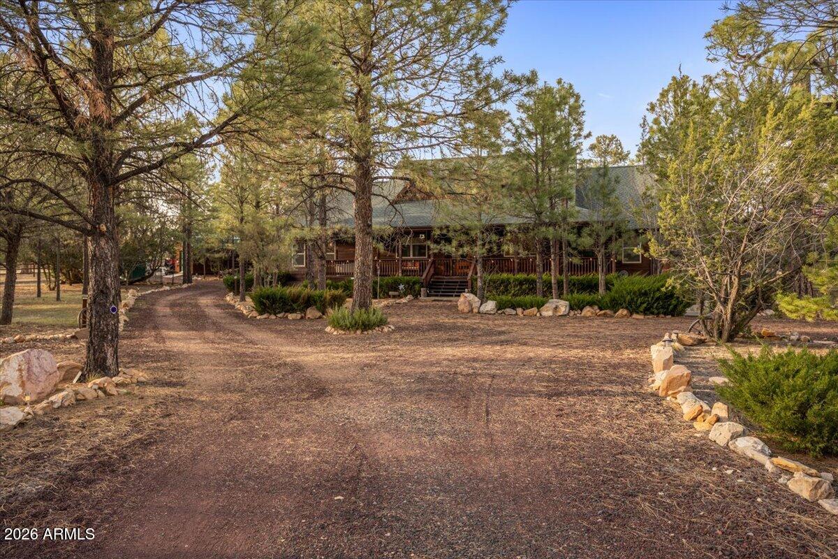 2952 Country View Lane Overgaard, AZ 85933 - Photo 59 of 81 a view of road with large trees