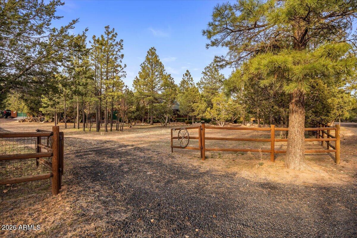 2952 Country View Lane Overgaard, AZ 85933 - Photo 60 of 81 62-IMG_6450