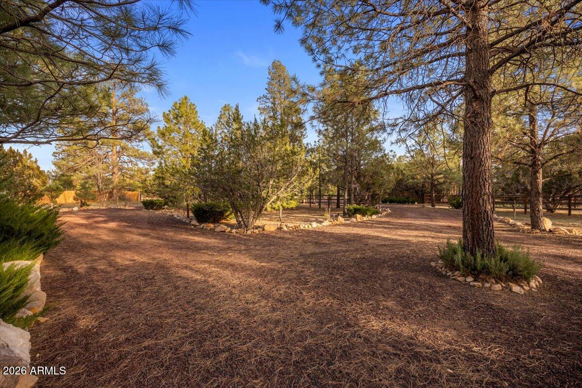 2952 Country View Lane Overgaard, AZ 85933 - Photo 61 of 81 a view of road with large trees