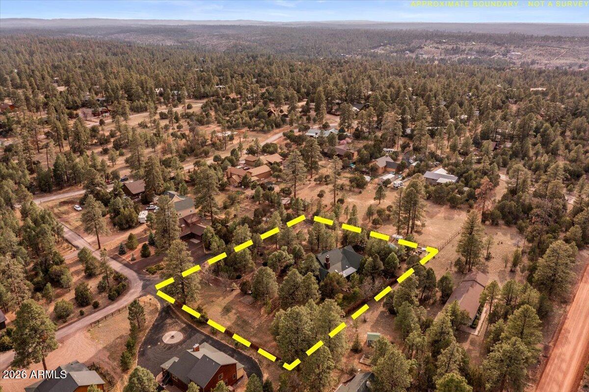 2952 Country View Lane Overgaard, AZ 85933 - Photo 72 of 81 74-DJI_0974