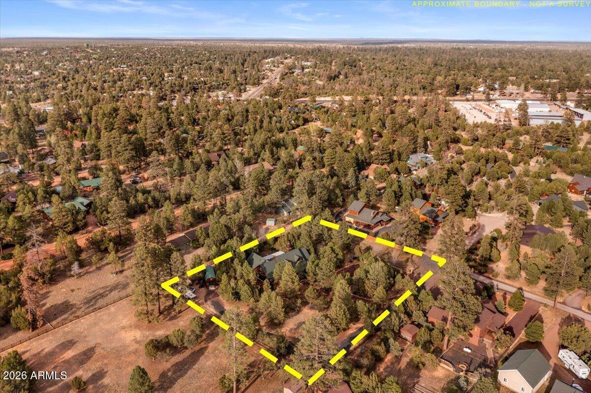 2952 Country View Lane Overgaard, AZ 85933 - Photo 74 of 81 72-DJI_0964