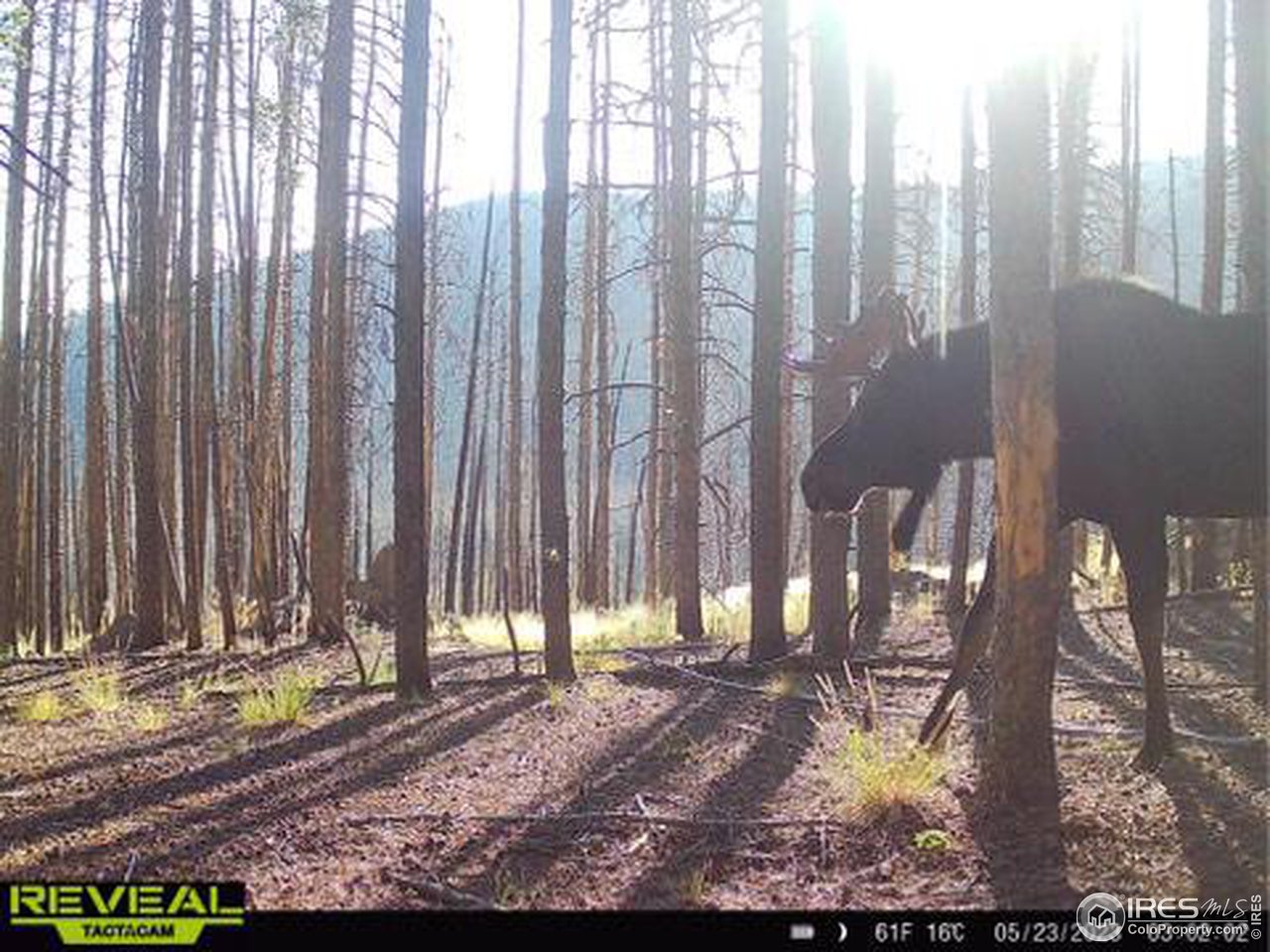 1055 Granite Road Bellvue, CO 80512 - Photo 26 of 36 Gallery Image 26