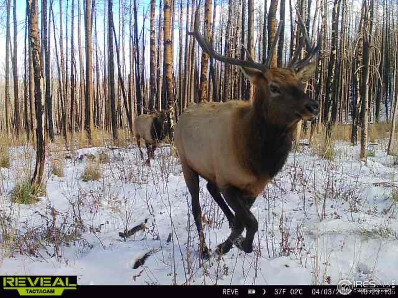 1055 Granite Road Bellvue, CO 80512 - Photo 31 of 36 Gallery Image 31