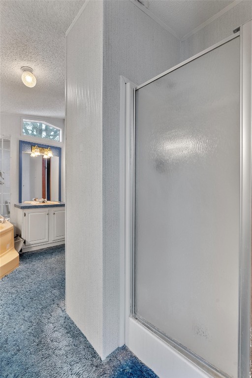 1100 County Road 474 Elgin, TX 78621 - Photo 26 of 40 a view of bathroom with a shower and a sink